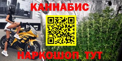 скорость Кингисепп