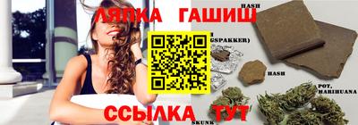 скорость Кингисепп