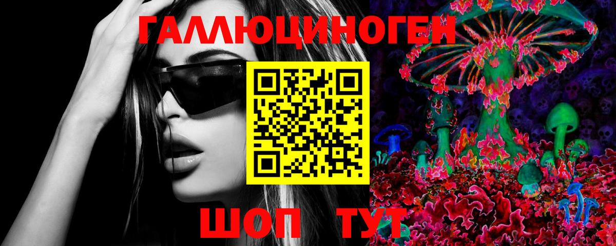 Кудрово  дарнет шоп  Вход с VPN  Псилоцибиновые грибы Psilocybine cubensis 
