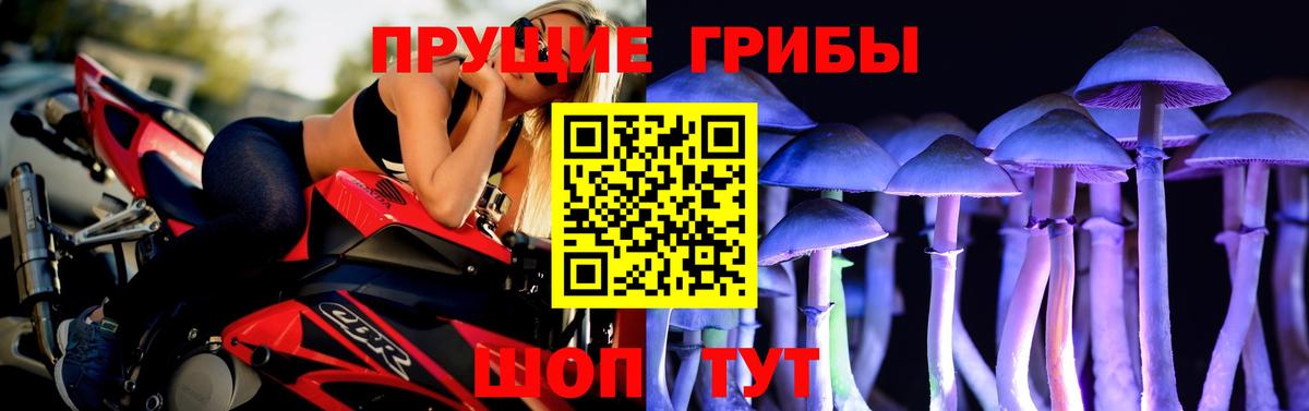 Псилоцибиновые грибы Cubensis Кудрово